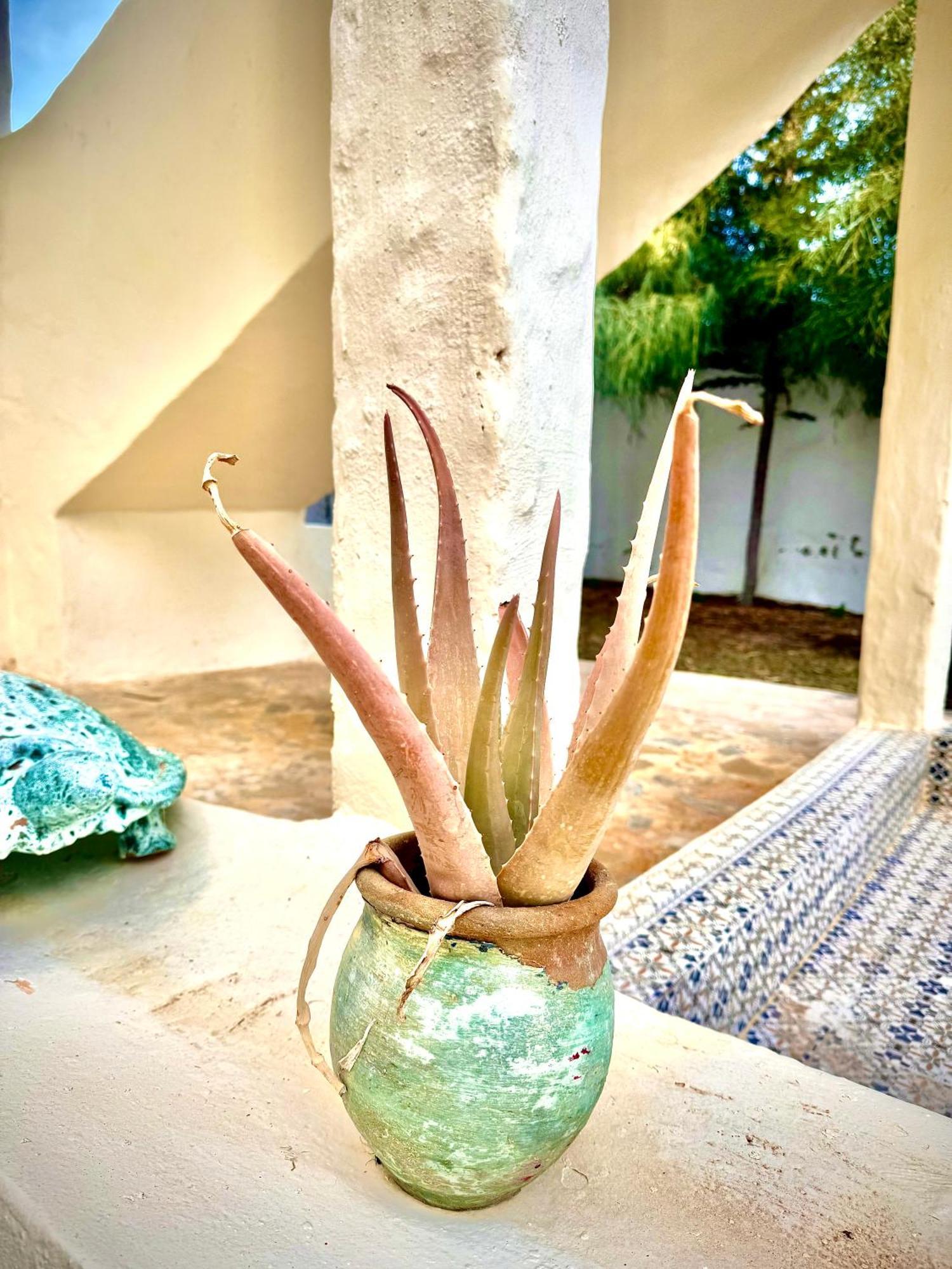 Dar Oueghlani - Maison D'Hotes El May Bagian luar foto